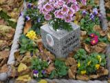 image of grave number 199176